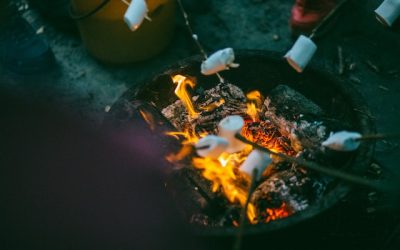 Waarom een zomerkamp een perfecte manier is voor je kinderen om te socialiseren in de vakantie!